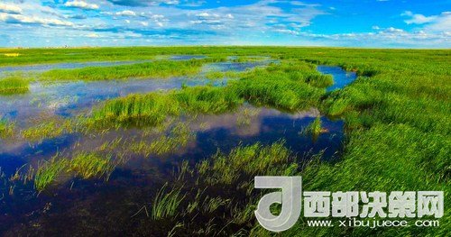 呼倫湖濕地。吳勇攝
