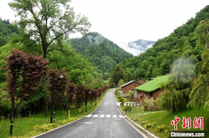 九寨溝熊貓園外景?！【耪瘻峡h委宣傳部提供 攝