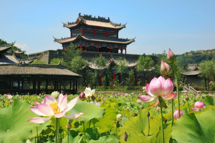 【云游渭南】心中若有桃花源，此處便是水云間！待疫情散盡，一起來渭南桃花源賞美景、觀民俗、享美食_fororder_2